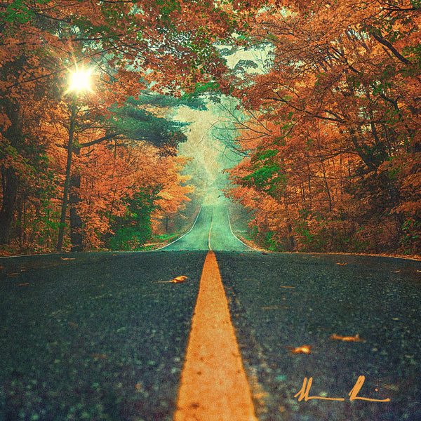 If The Heart Don't Want Anymore